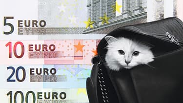 Karl Lagerfeld voulait léguer une partie de sa fortune à sa chatte Choupette