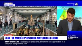 Lille: le musée d'histoire naturelle ferme