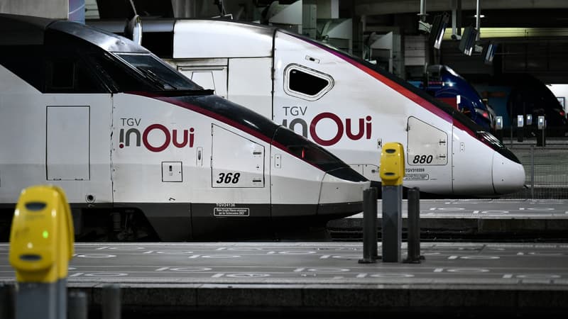 La ligne TGV Paris-Lyon sera fermée du 9 au 12 novembre
