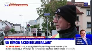 Agression près d'une école à Souffelweyersheim: un témoin a croisé l'assaillant