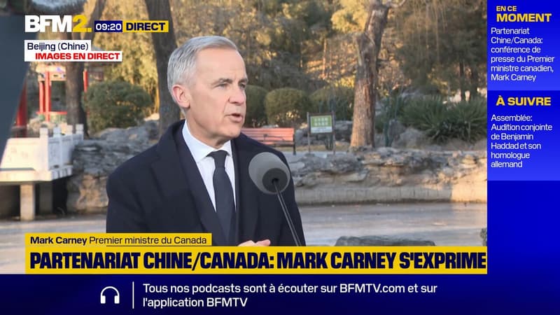 Le Canada va autoriser l'entrée de 49.000 véhicules électriques chinois à droits de douane préférentiels "de 6,1%"