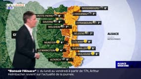 Météo Alsace: un ciel voilé pour ce dimanche de Noël, 13°C à Strasbourg et Guebwiller