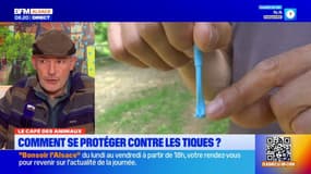 Le Café des Animaux: quelques conseils pour protéger son compagnon des tiques