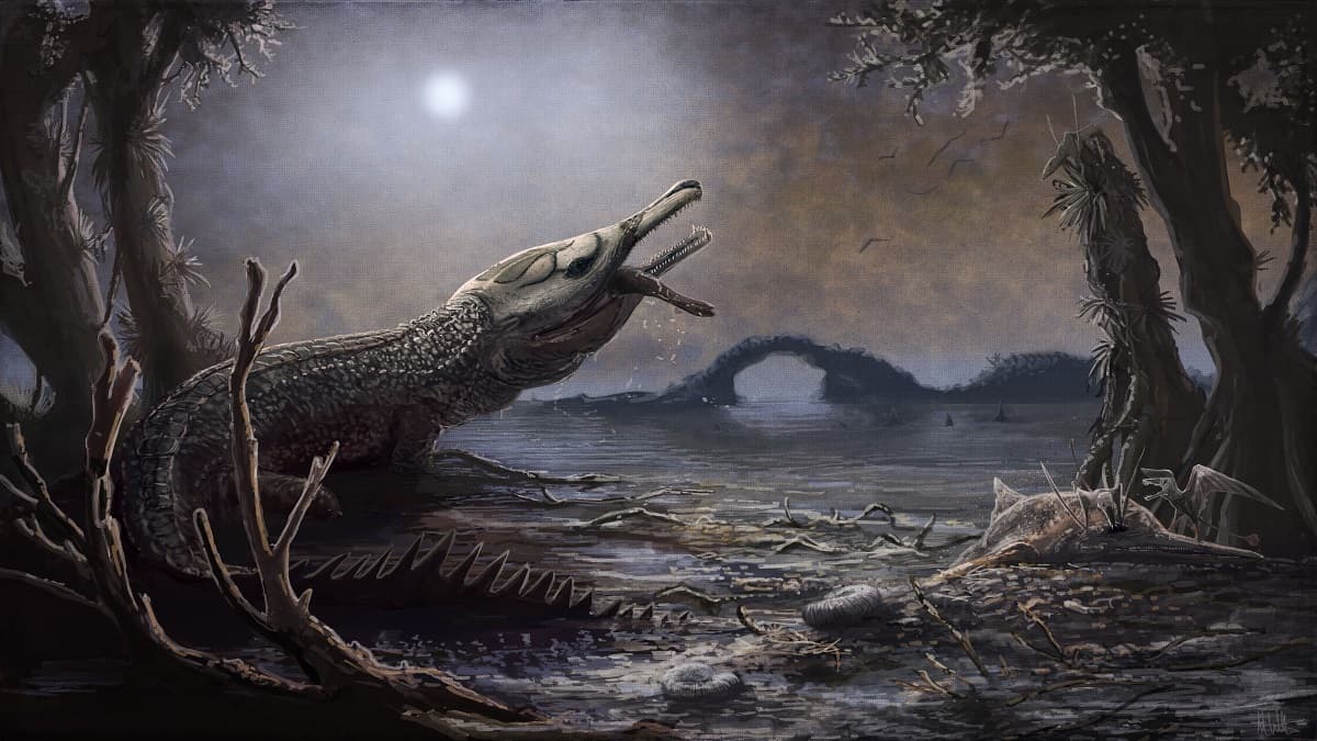 Le crocodile préhistorique "Lemmysuchus" Le crocodile préhistorique "Lemmysuchus"