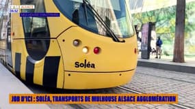 JOB D'ICI : Soléa, transport de Mulhouse Alsace Agglomération