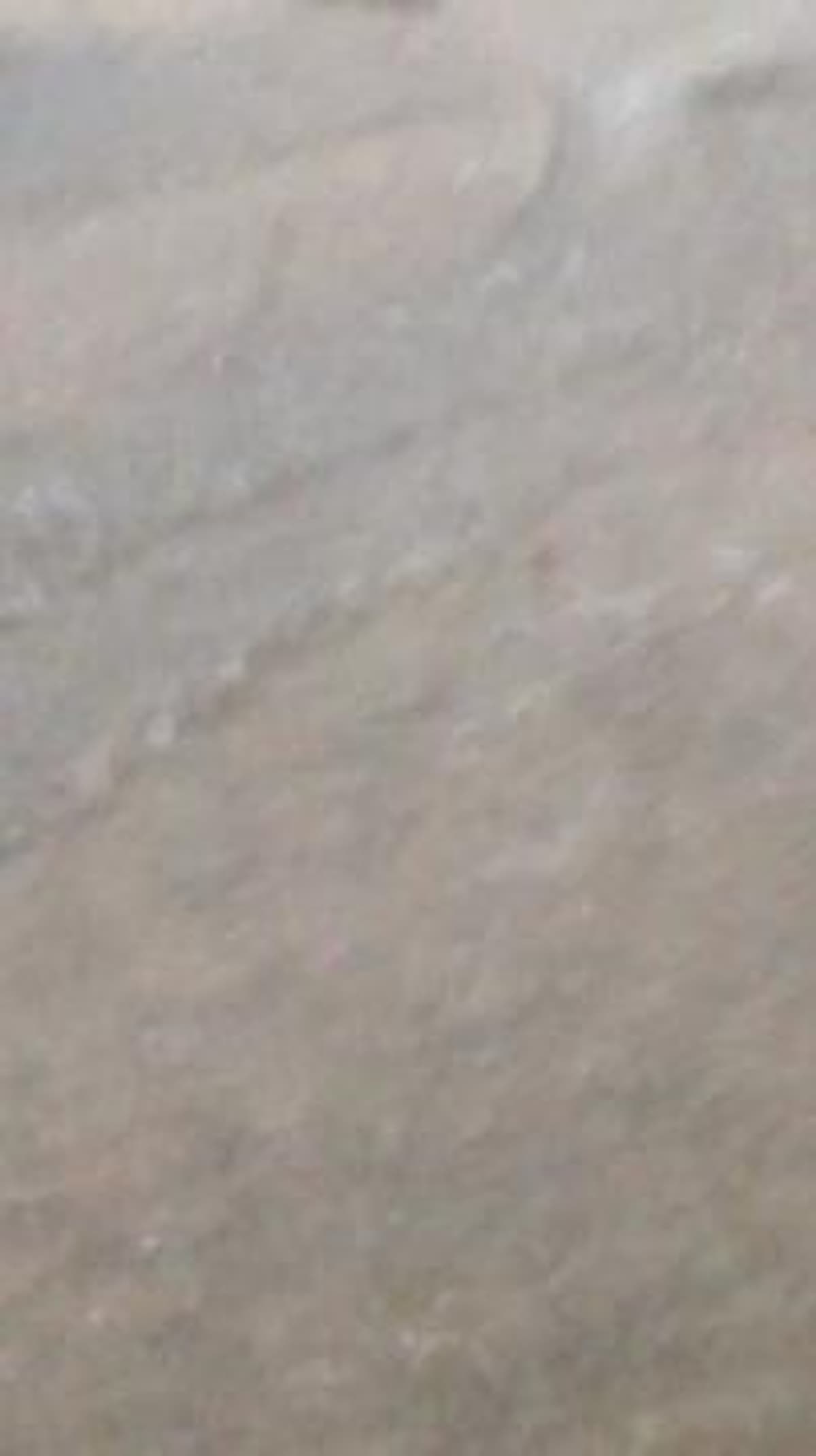 placeholder video