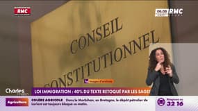 Loi immigration : 40 % du texte retoqué par les Sages