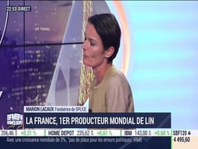 Green Reflex: La France, 1er producteur mondial de lin - 15/10