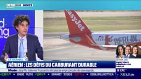 Aérien : les défis du carburant durable
