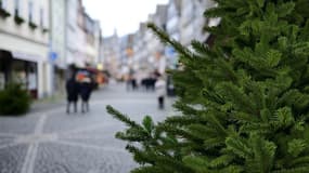 Un sapin déposé dans une rue (image d'illustration). 