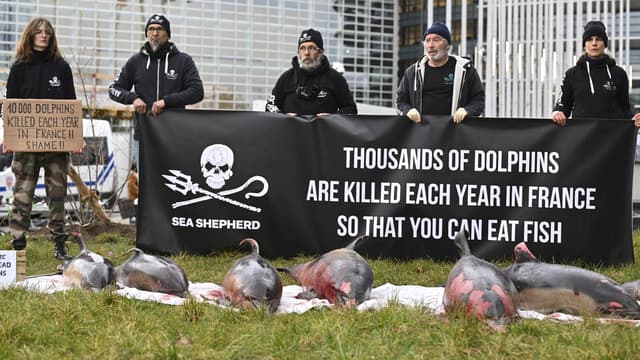 Des militants de l'association Sea Shepherd ont déposé 7 cadavres de dauphins devant le Parlement européen à Strasbourg.