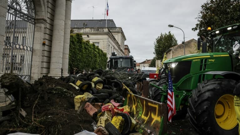 Manifestation d'agriculteurs devant la préfecture à Agen, le 19 novembre 2024