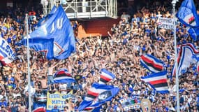 Les supporters de la Sampdoria face à la Fiorentina, le 16 mai 2022.