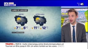 Île-de-France: la fin des températures négatives, un redoux pour la semaine