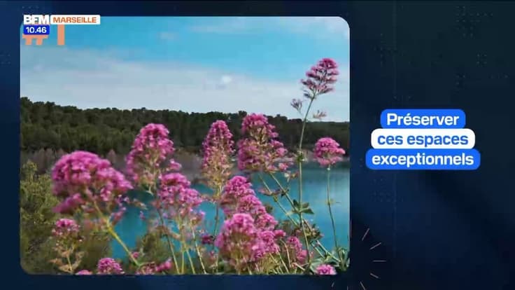 La Minute Info du lundi 11 Aout 2025 -  protection des espaces naturels
