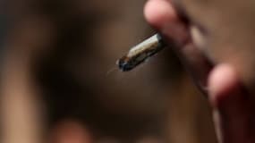 Le secrétaire d'Etat aux relations avec le Parlement Jean-Marie Le Guen s'est dit favorable à l'organisation d'un référendum sur la question du cannabis