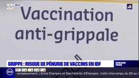 Grippe: risque de pénurie de vaccin en Île-de-France?