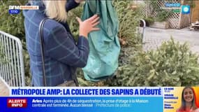 Métropole Aix-Marseille-Provence: la collecte des sapins a débuté