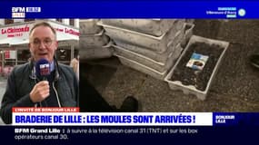La consommation de moules sera autour de "300 à 350 tonnes" pour ce week-end de braderie des commerçants, estime le directeur commercial de Delta Mossel B.V.