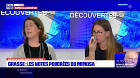 Côte d'Azur Découvertes du jeudi 19 janvier 2023 - Le mimosa, de l'Australie à la côte d'Azur