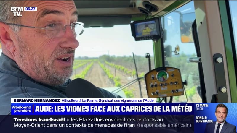 Dans l'Aude, les viticulteurs s'adaptent pour faire face aux caprices de la météo
