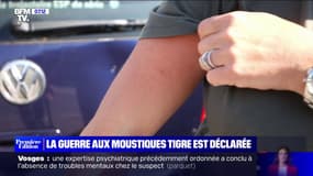 Dans les Alpes-Maritimes, la guerre contre le moustique tigre est déjà déclarée
