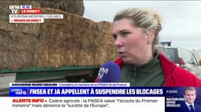 Crise agricole: "Ce n'est pas parce qu'on peut lever un point de blocage qu'on ne va pas rester mobilisés", assure cette céréalière 