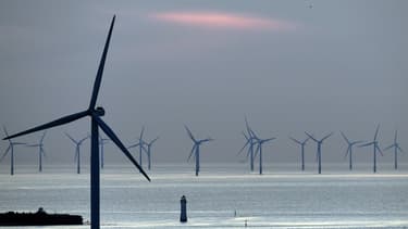 La quantité d'électricité "verte" s'est élevée à 29,5 térawatt-heure au troisième trimestre 2019, contre 29 térawatt-heure pour l'énergie fossile, une première depuis la révolution industrielle.