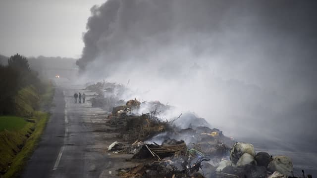 Des agriculteurs bloquent la RN165, près Arzal, le 29 janvier 2016.