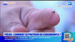 Fréjus : comment se protéger du chikungunya ?