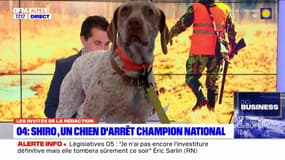 Manosque: la fête de la chasse célébrée le dimanche 16 juin