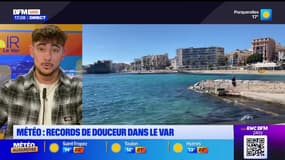 Météo: des records de douceur dans le Var