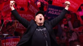 Elon Musk, lors d'un meeting de Donald Trump au Madison Square Garden (New York), le 27 octobre 2024