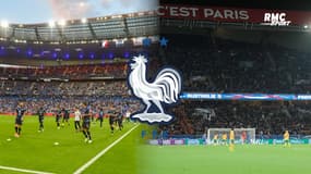 Equipe de France : Parc des Princes, Stade de France ... Les stades les plus utilisés par les Bleus