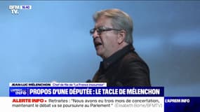 Jean-Luc Mélenchon réagit aux propos de la députée Renaissance Claire Guichard sur les AESH: "C'est un métier où l'on a besoin de plus de formation"