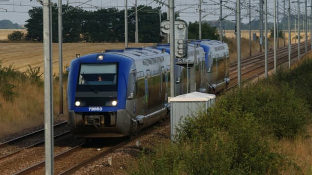 La jeune fille s'est jetée sous un TER entre Lisieux et Deauville. Le conducteur n'a rien pu faire pour l'éviter. (photo d'illustration)