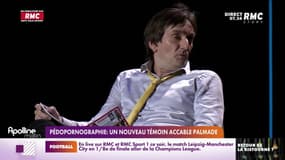 Pédopornographie: un nouveau témoin accable Palmade 
