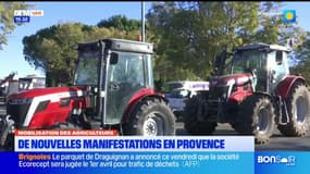JT du Sud du vendredi 22 novembre