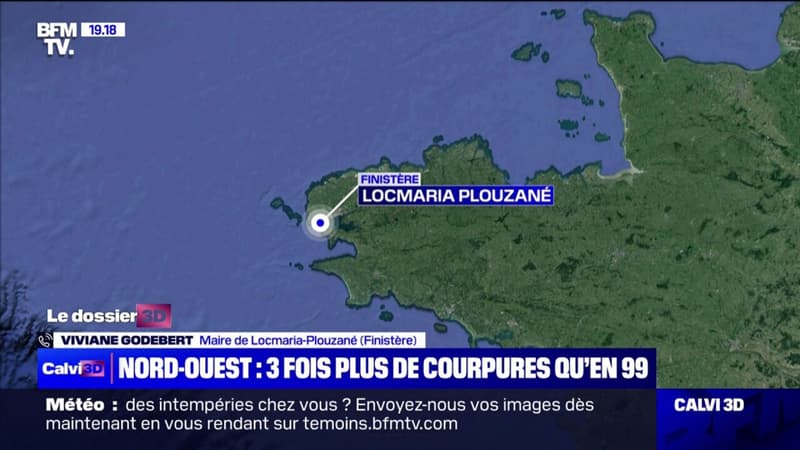 Tempête Ciarán: Les dégâts sont énormes, déplore la maire de Locmaria-Plouzané (Finistère)