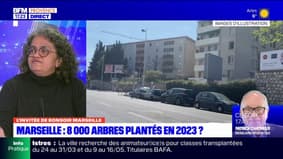 Plan arbre à Marseille: l'avis des citoyens sera demandé pour le programme de plantation
