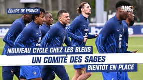 Équipe de France : Bientôt un "Conseil des sages" pour compenser le manque d'expérience des Bleus ? 