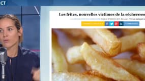 Les frites vont coûter de plus en plus cher !
