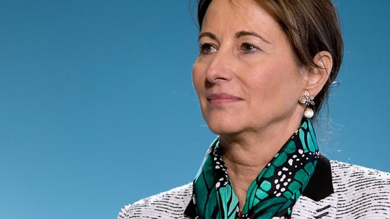 La ministre de l'Ecologie, du Développement durable et de l'Energie Ségolène Royal 