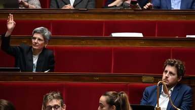 Les députés écologistes Sandrine Rousseau et Julien Bayou à l'Assemblée nationale, le 20 octobre 2022.