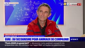 Eure: des formations de premiers secours pour les animaux de compagnie