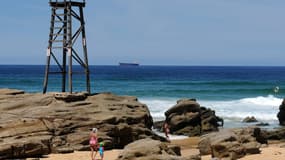 Un nageur a été tué, dans l'Est australien, après avoir été mordu à la jambe, probablement par un requin. Photo d'illustration.