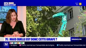 Lyon: une sculpture de girafe en déchets recyclé dans le 7e arrondissement