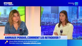 BFM Lyon et vous : animaux perdus, comment les retrouver ? 