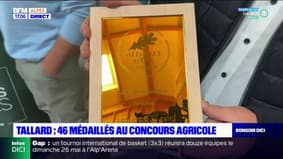 Tallard: 46 médaillés au concours agricole