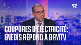 Coupures d'électricité: le porte-parole d'Enedis répond aux questions de BFMTV